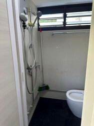 Blk 58 BLANGAH GARDEN (Bukit Merah), HDB 4 Rooms #575843681